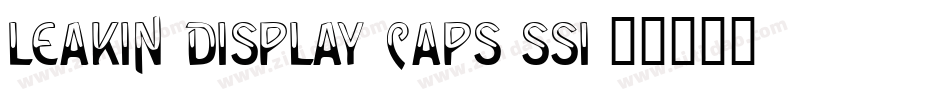 Leakin Display Caps SSi字体转换